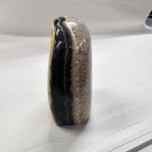 Load image into Gallery viewer, Bumblebee Jasper