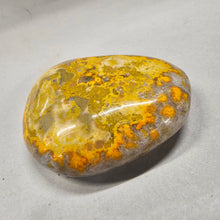 Load image into Gallery viewer, Bumblebee Jasper