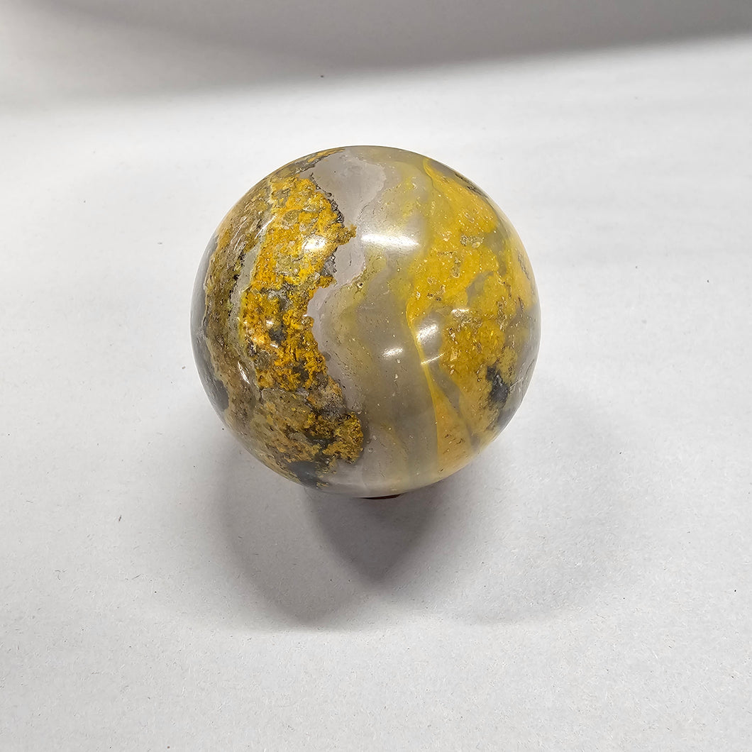 Bumblebee Jasper