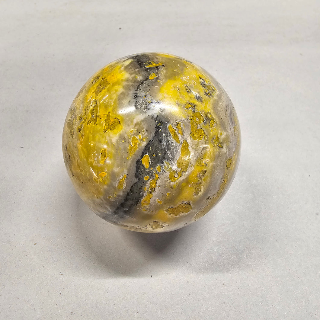 Bumblebee Jasper