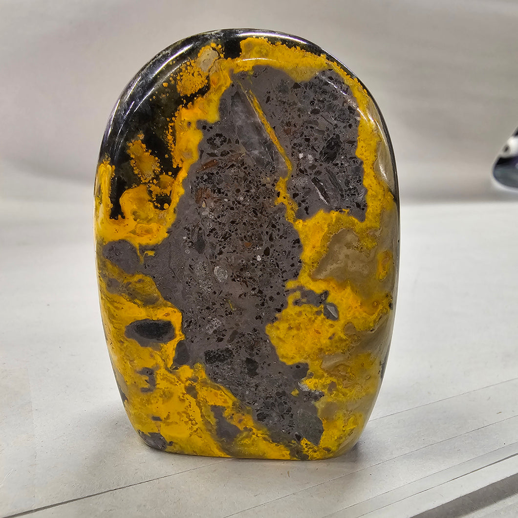 Bumblebee Jasper