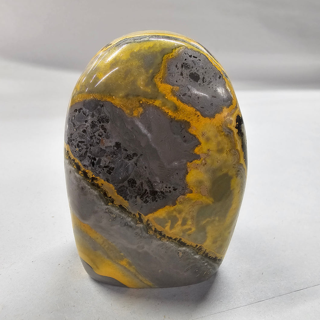 Bumblebee Jasper