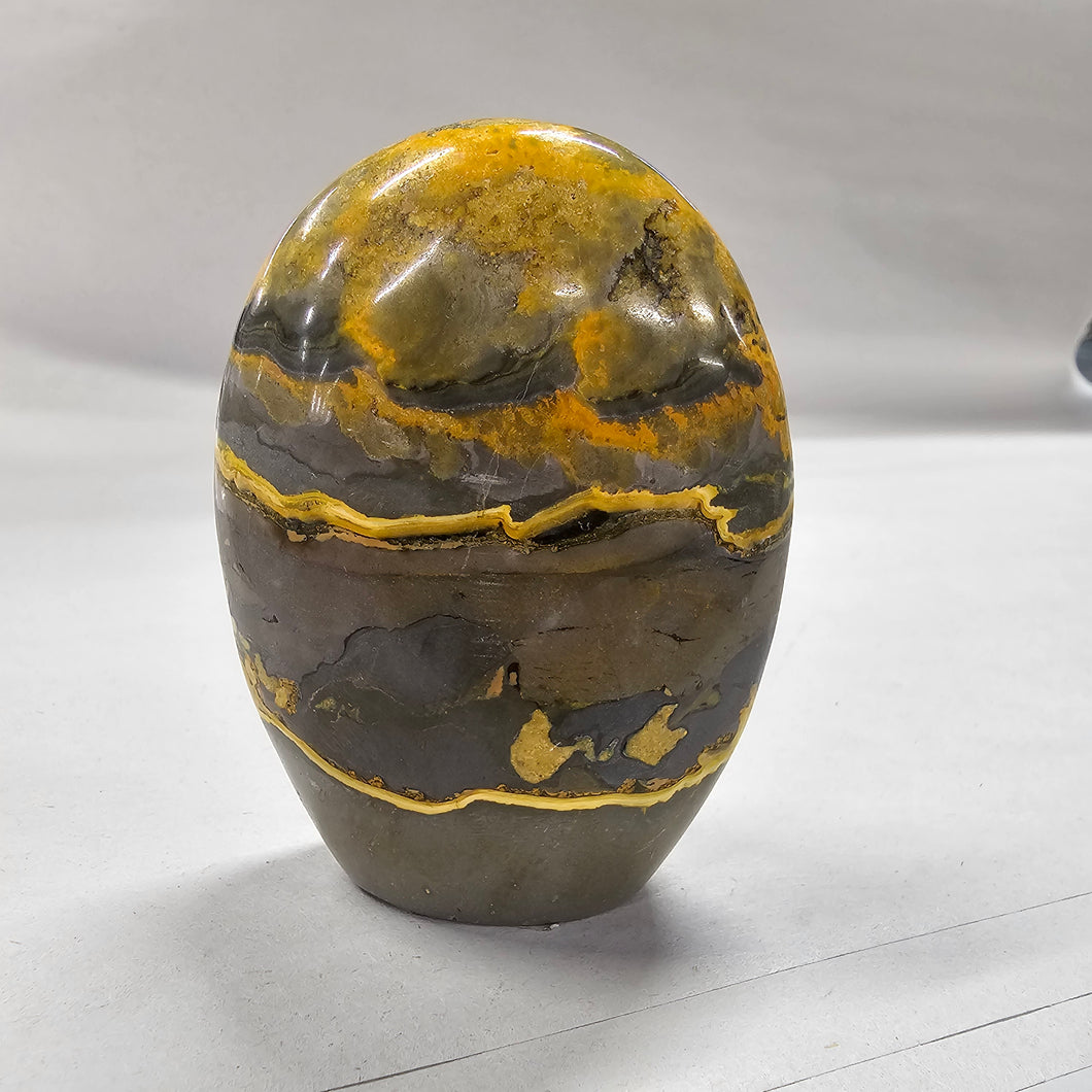 Bumblebee Jasper