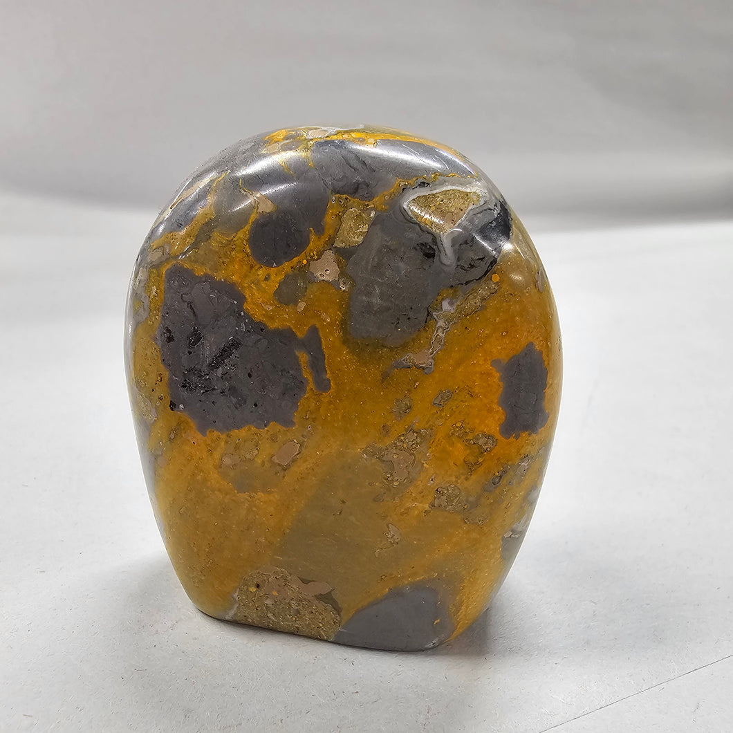 Bumblebee Jasper