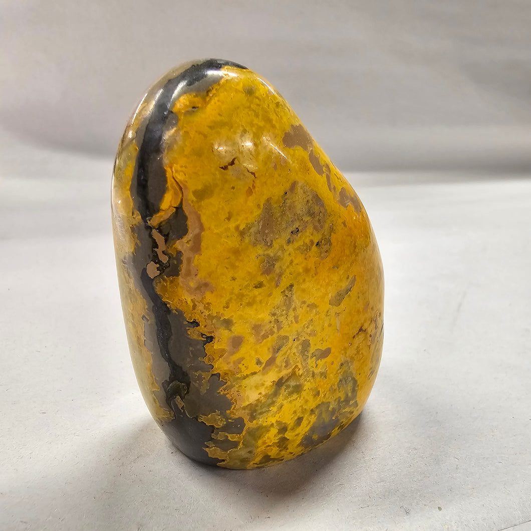 Bumblebee Jasper