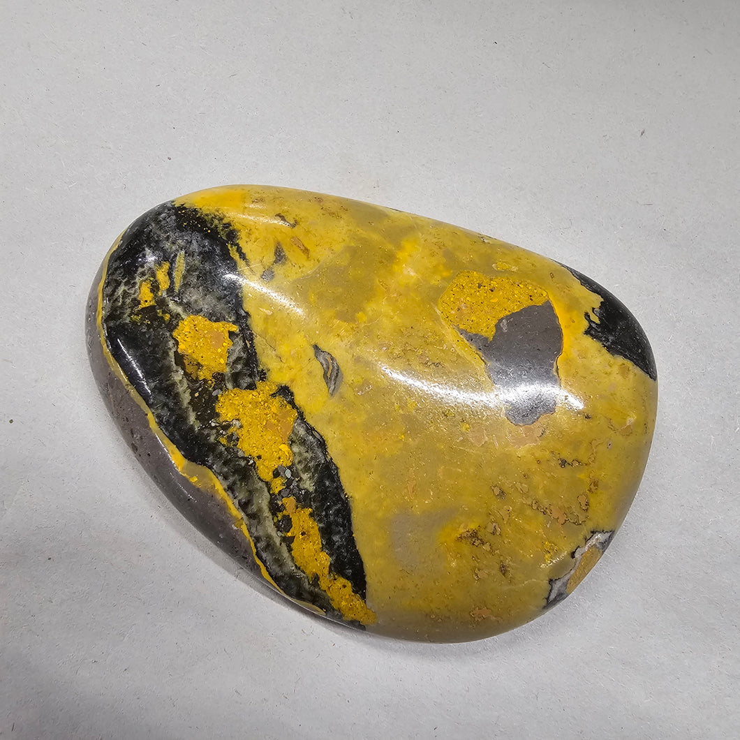 Bumblebee Jasper