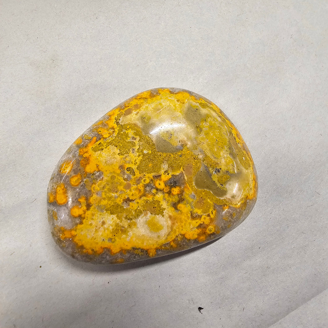 Bumblebee Jasper