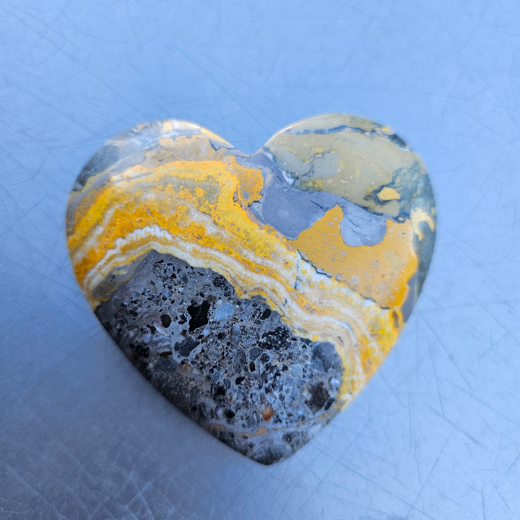 Bumblebee Jasper