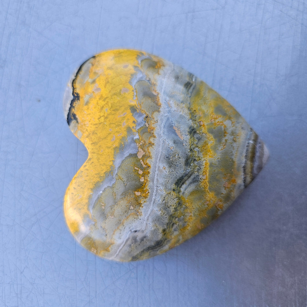 Bumblebee Jasper